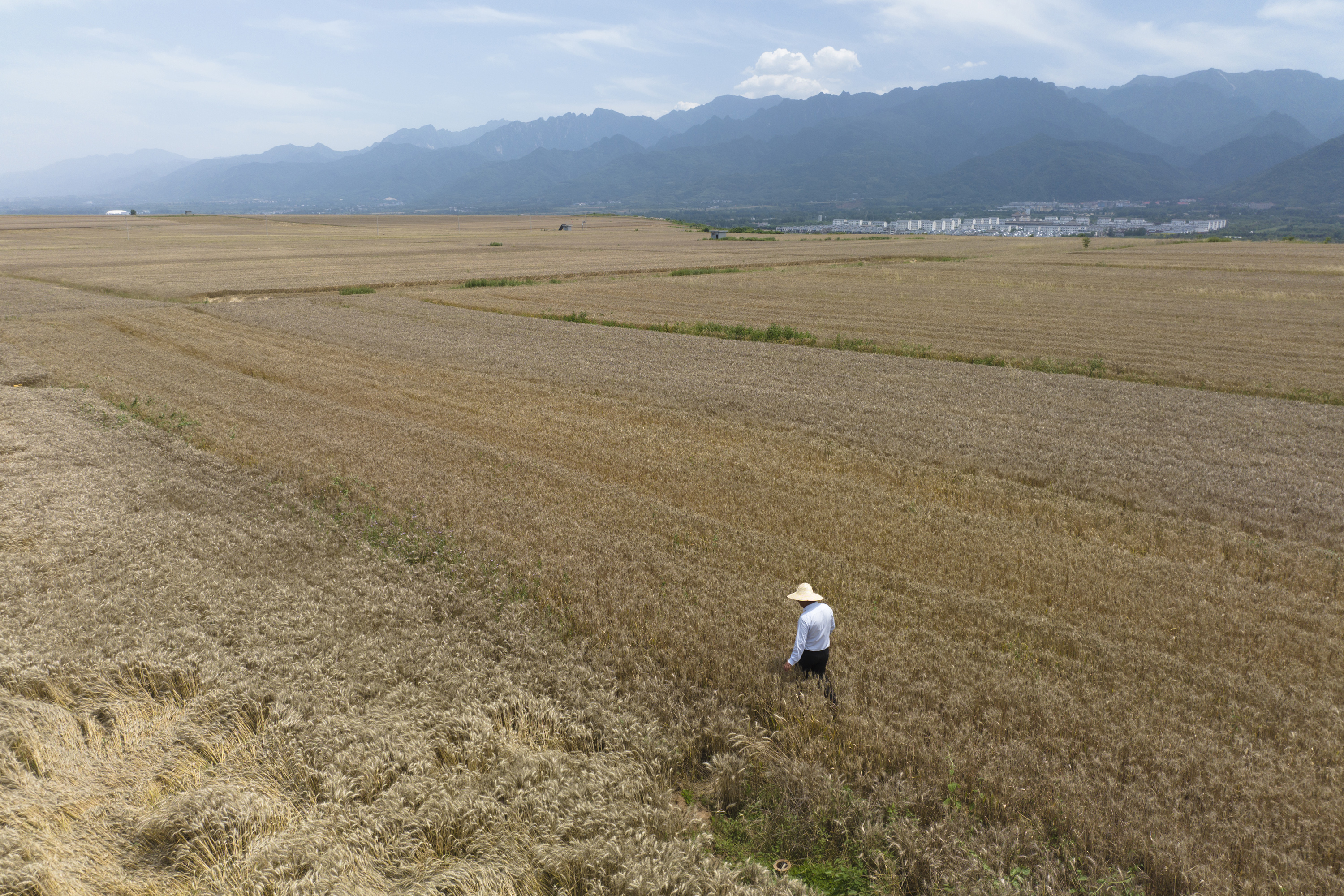 农田管家苹果版农田管家机手端下载-第2张图片-太平洋在线下载