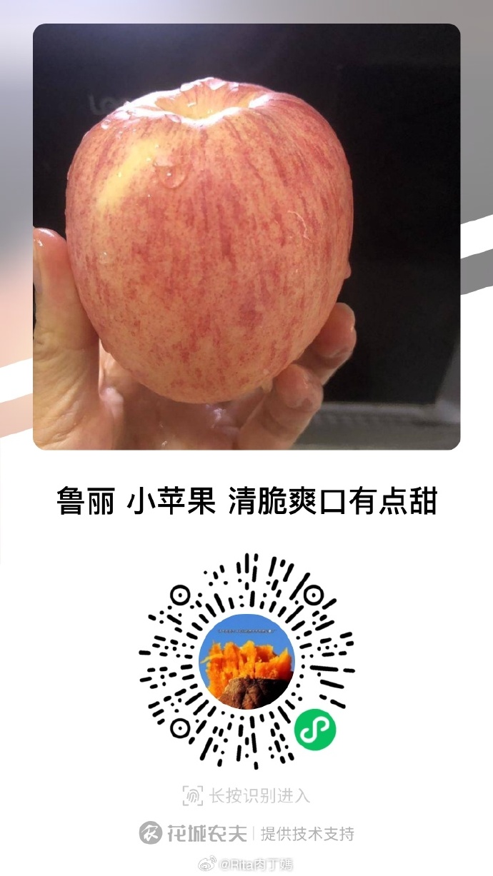 电信小苹果手机版中国电信官网登录入口-第2张图片-太平洋在线下载