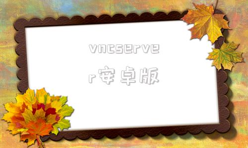 vncserver安卓版vncviewer安卓版下载