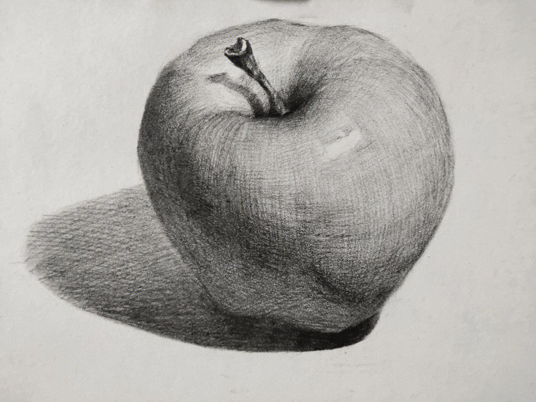 素描过程图苹果版素描入门自学教程视频-第1张图片-太平洋在线下载