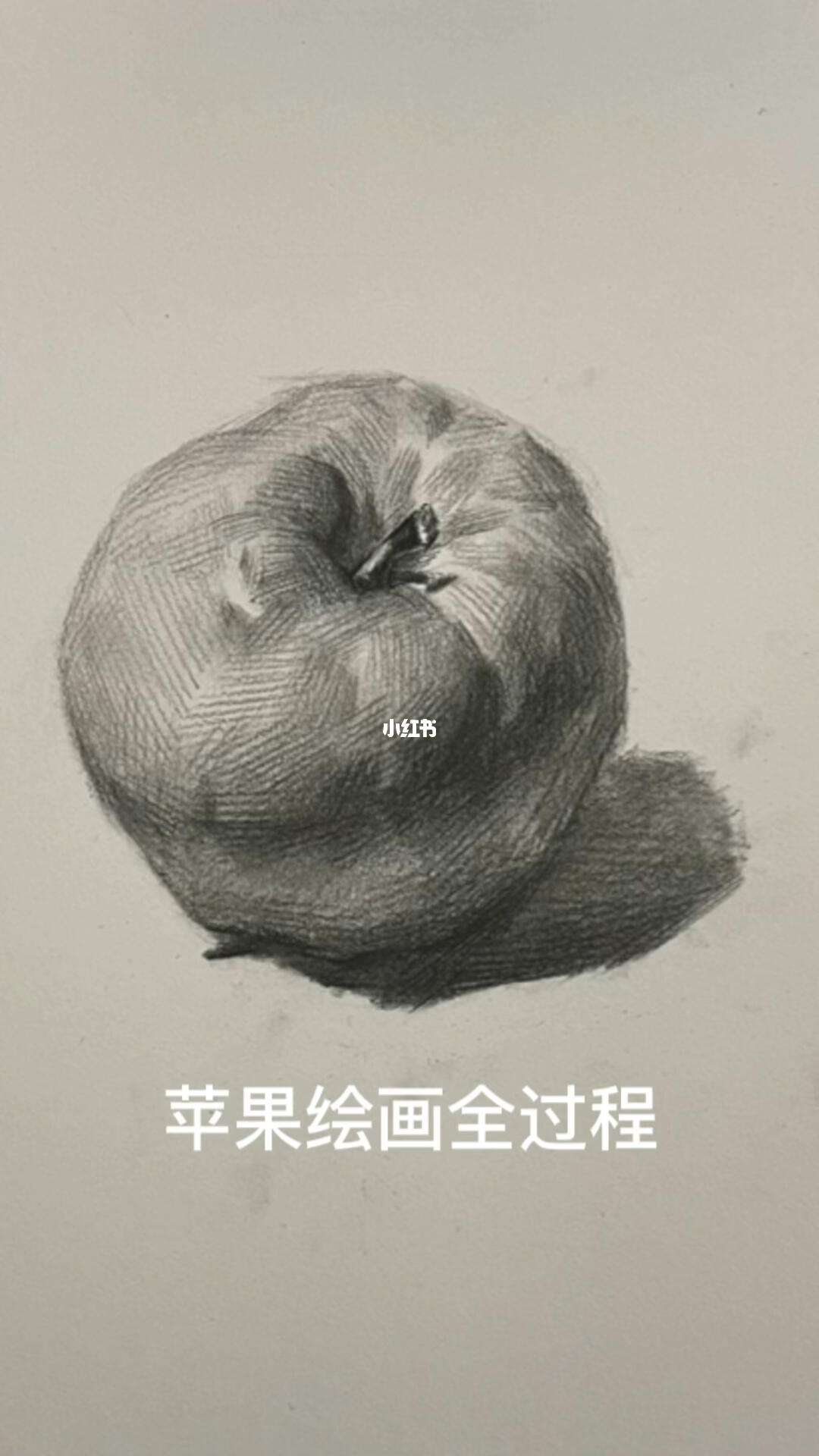 素描过程图苹果版素描入门自学教程视频-第2张图片-太平洋在线下载