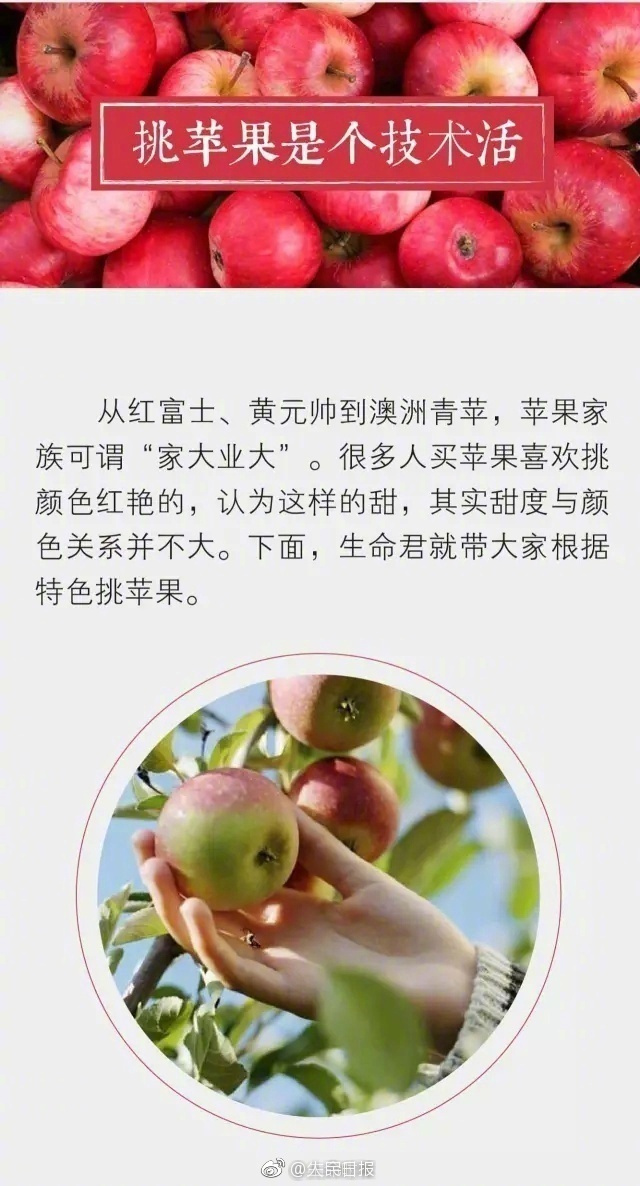 日韩版苹果区别日本产品韩国产品区别-第2张图片-太平洋在线下载