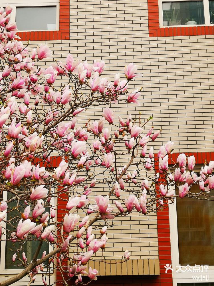 花花视界app苹果版花火视频app苹果版本下载-第2张图片-太平洋在线下载