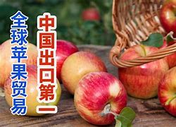 苹果版税企通税企通软件下载