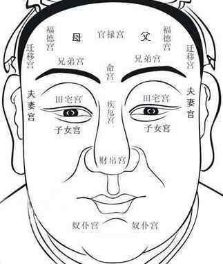面相测算大师安卓版面相算命图解免费测试-第2张图片-太平洋在线下载
