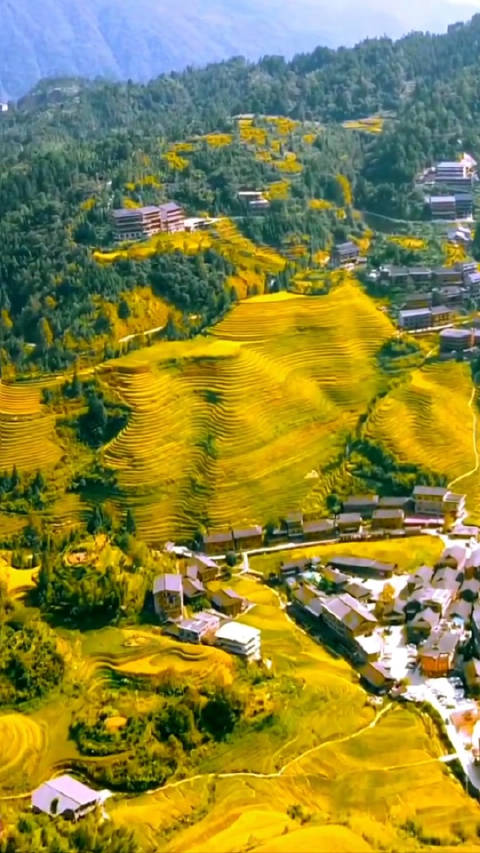 秀映苹果版imax映前秀映前秀下载地址-第2张图片-太平洋在线下载